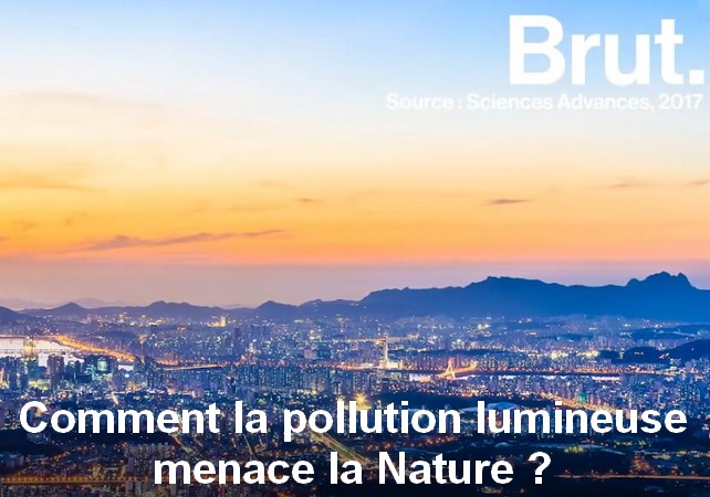 vidéo BRUT «Comment la pollution lumineuse menace la nature ?» (1 min 41 sec)